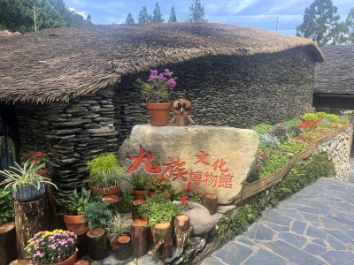 搭乘山豬纜車前進九族部落花園   參加歡樂秋之盛典