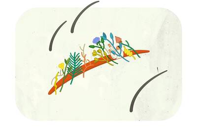 【自由副刊．第二十屆林榮三文學獎．散文獎三獎】 白語泫／一份關於切除和重建手術的progress note