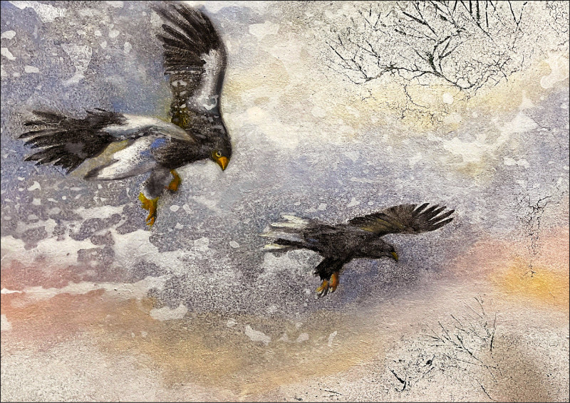 【自由副刊．第二十屆林榮三文學獎．短篇小說獎三獎】 古乃方／鷹性熬馴 － 3之1