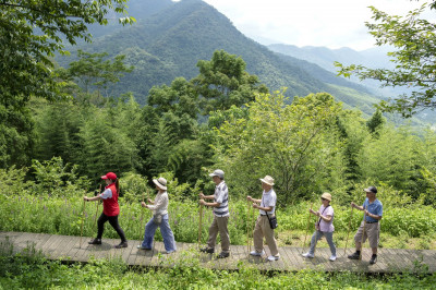 樂活旅遊綠色主題最夯   雄獅旅遊推出4大類創新樂活旅遊行程