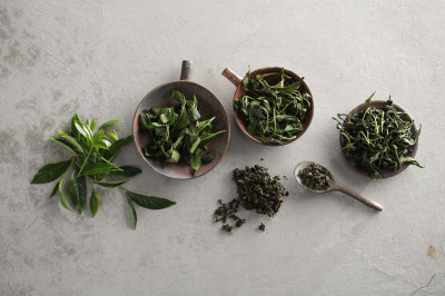 親子同樂體驗焙茶文化  台北文華東方「冬季奢享」享寓教於樂好時光