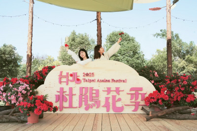 颱風倒木成裝置藝術  北市杜鵑花季3/1大安森林公園登場