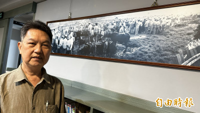 黃耿國用鏡頭說在地文史  33張老照片回顧台南善化牛墟牛隻買賣