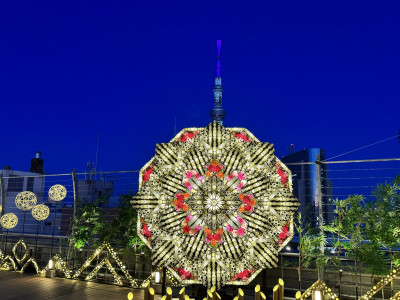 漫步日本櫻花季的夜晚  邂逅夢幻璀璨的「竹取公主」