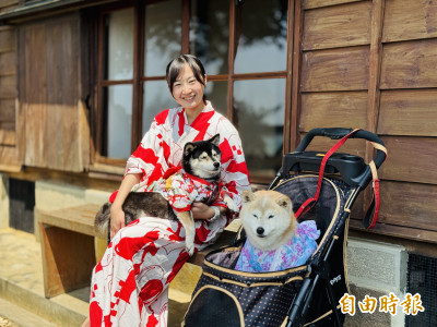 淡古4/3起全年開放寵物入館 加碼推「寵物浴衣」體驗
