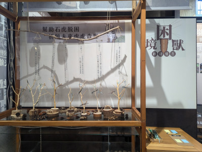 關注石虎、遊蕩犬貓議題  2團體推聯展呈現困境