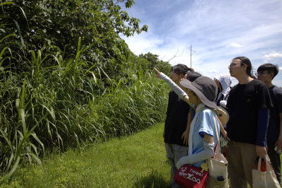新北濕地藝術季創作營4/30辦線上說明 入選可獲2.5萬元補助