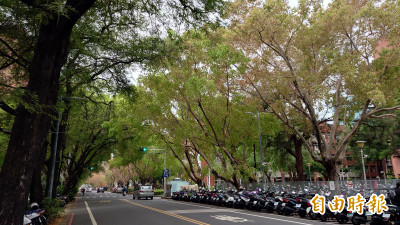 這是什麼線？「台南人的日常」曾是城垣遺址（影音）