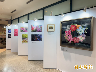 展現萬金杜鵑之美！新北攝影展即起登場、抽好禮