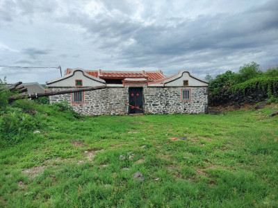 陳景容藝術心路連結巴黎與望安   花宅海邊美術館的序曲