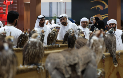 2025阿布達比ADIHEX展覽規模創新高  互動體驗狩獵文化