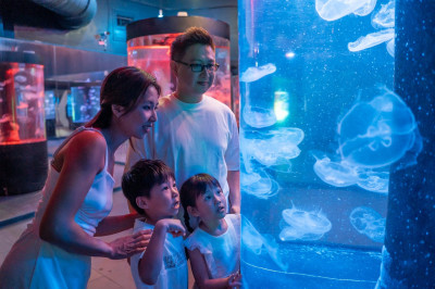 向國軍致敬！海洋公園免費招待國軍  悅來享房型升等餐飲5折