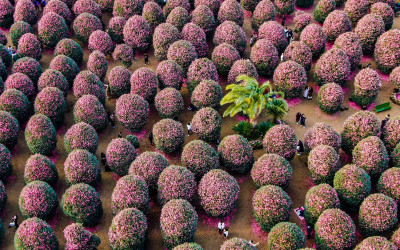 韓國觀光公社KOREA PLAZA講座  冬遊韓國亮點台中、高雄開講