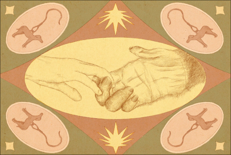 【自由副刊】 劉大芸／我想要的是