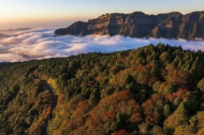 秋日優遊雲海上的夢幻天地  阿里山英迪格贈森林園區門票與支線小火車車票