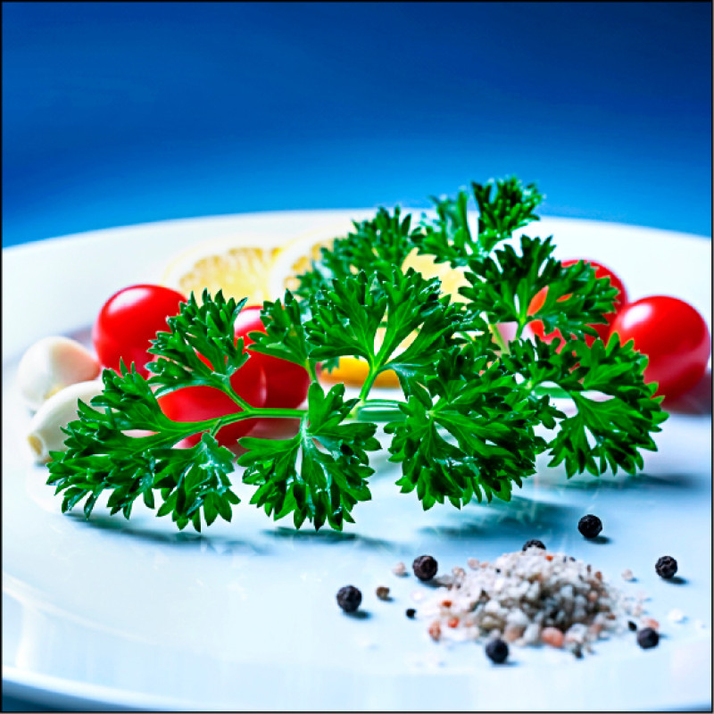 【家庭plus．香草隨食札記】皺葉歐芹 讓餐點增色