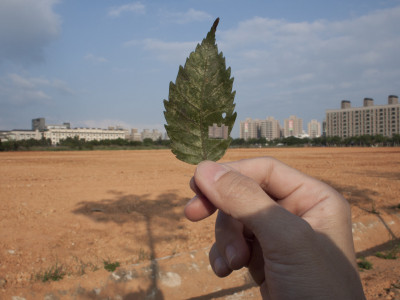 日常裡的奇蹟！北美館9月重現王雅慧經典影像 從微塵看見萬物世界
