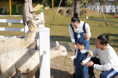 麗寶美樂地親子農場「療癒媽咪月」  全台媽媽5月9至31日免費入園
