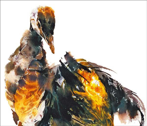 一隻披水晶翅翼的鳥