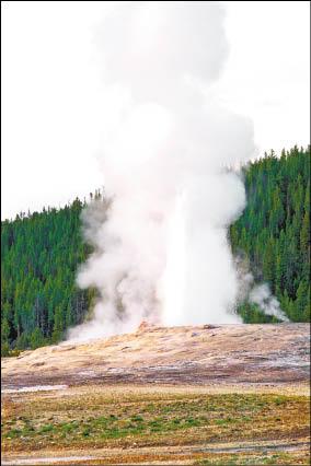 【旅遊】穿梭地熱奇景-----美國黃石公園