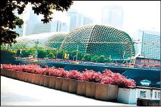 外表像榴槤的濱海藝術中心。