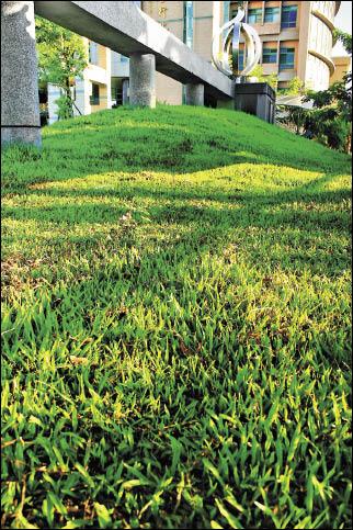 家庭親子 園藝教室 地被植物大地披彩顏 自由藝文網