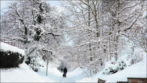 黑森林的冬天雪景，讓人彷彿進入愛麗斯夢遊仙境般。