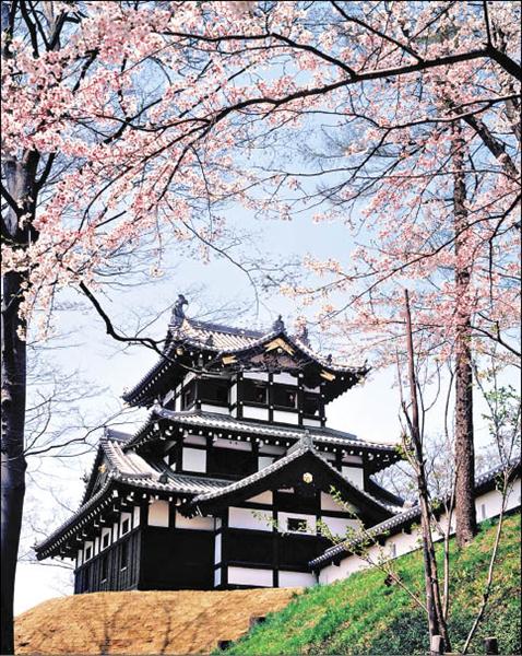 高田公園是新潟縣知名的賞櫻名勝地。