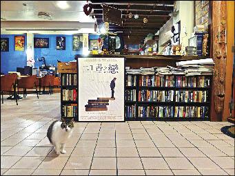 貓咪配上《二手書之戀》的電影海報，讓新竹這家「蘇格貓底二手書屋」的店名變得不太奇怪。