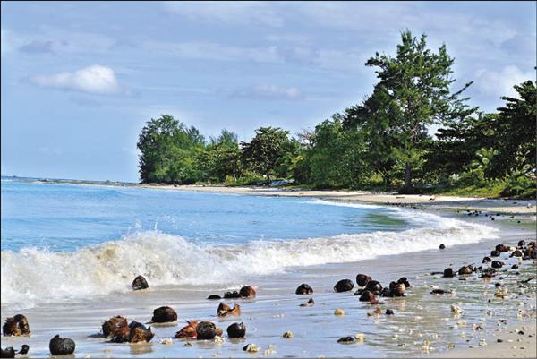 白色沙灘上滿是椰子顯現出一種質樸之美。