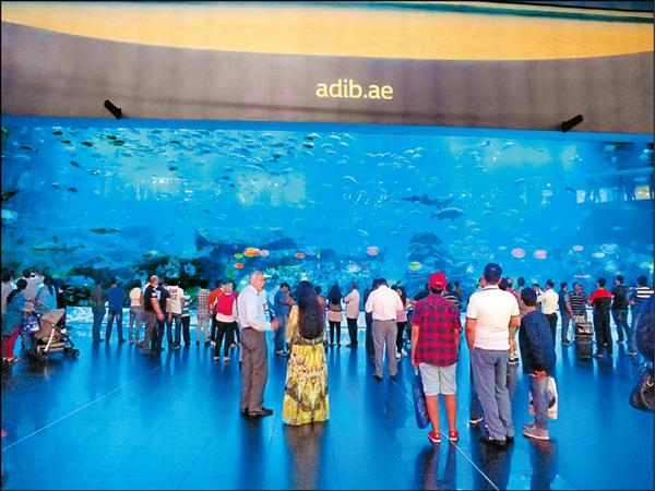 就算不進入杜拜水族館內參觀，單從側面的外牆，仍可見識到它的恢宏氣勢。