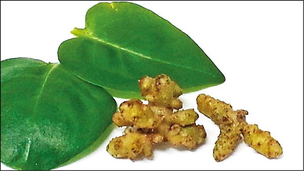 【家庭親子】〈窗台菜圃〉 種川七 防曬又加菜 - 自由藝文網