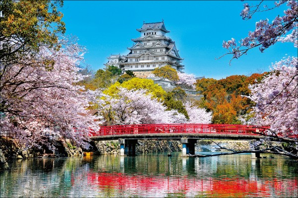春天的姬路城被1000多棵櫻花樹包圍的美景，令人驚艷。（山陽電車提供）