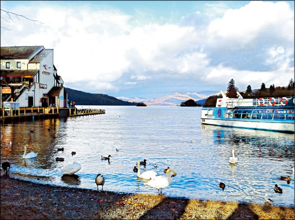 遊完湖坐在湖邊跟著天鵝、海鷗們一起曬太陽，享受大自然。