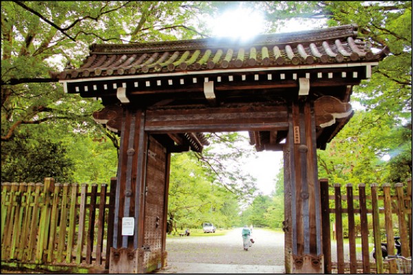 オンラインストア店舗 天狗夜叉 韋駄天 鬼魍魎 龍神 安倍晴明 怨霊菅原 ...