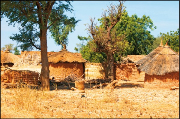當初，「菠蘿悟」村沒水沒電，得自己挖水井、點煤油燈。