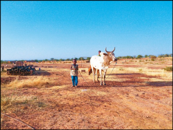 從內戰到和平，賴比瑞亞一直都是極為貧困的國家。