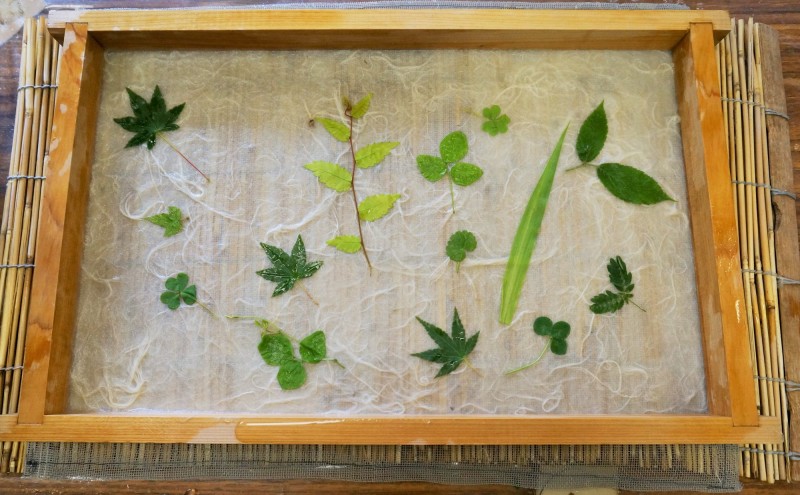 遊客藉由放入親手採摘的植物，構圖自我風格的和紙。（榮青攝）