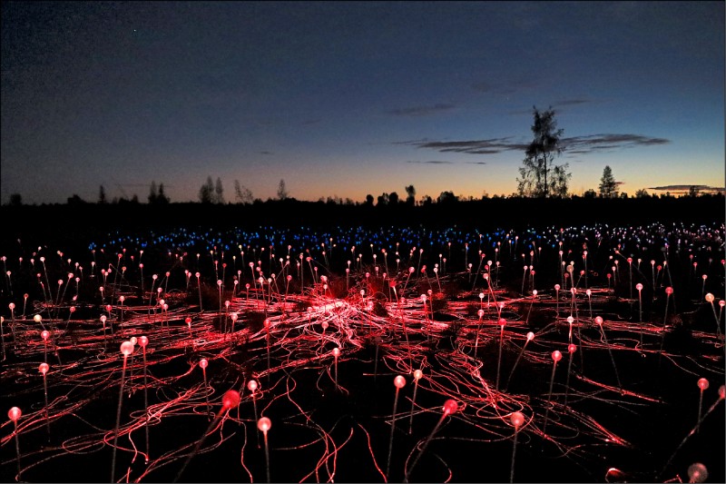 烏魯魯原野星光展持續至 2020 年底。