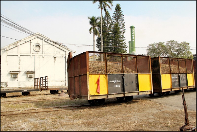 全台唯一五分車載運製糖原料白甘蔗，是冬日虎尾限定風景。