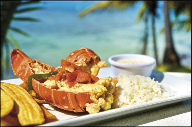 玉米島盛產龍蝦，來到島上別錯過品嘗龍蝦鮮美滋味。