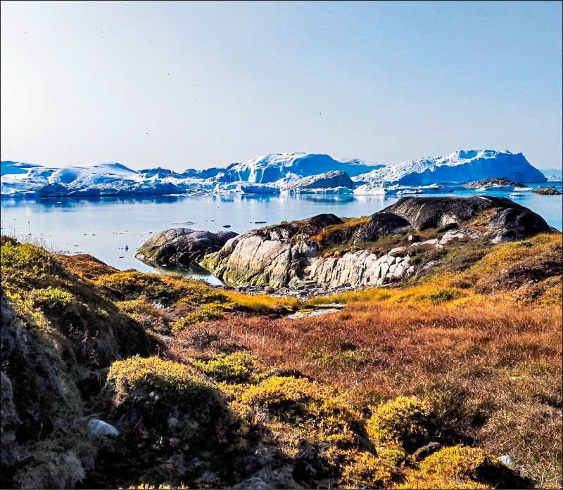 色彩鮮豔的苔原植物與遠方的冰山相互輝映。