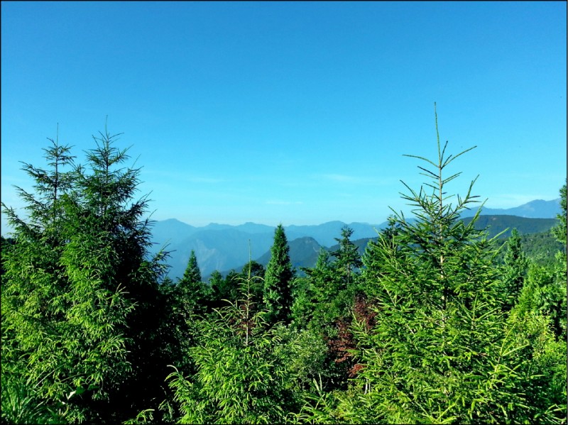 翠峰湖為台灣高山湖泊，是一處森林生態保育區。