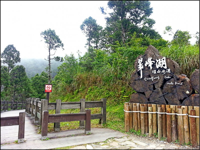 翠峰湖周遭各步道，走起來難度皆不高。