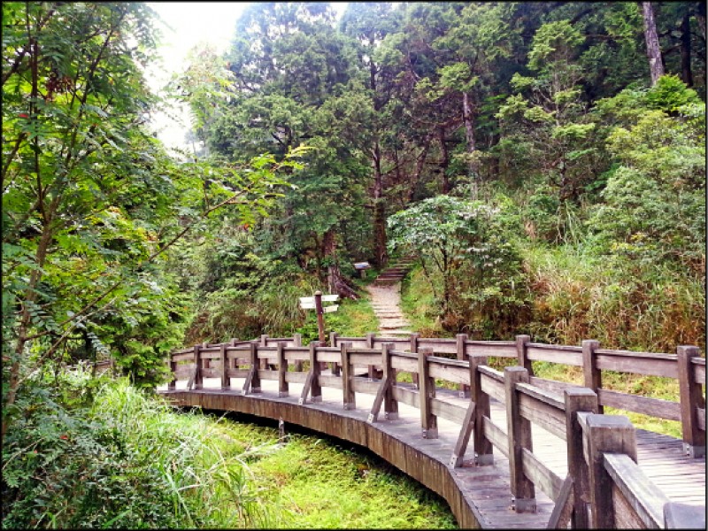 翠峰湖環山步道全程採用生態工法，以不破壞原始地表、不干擾底層動物為原則。