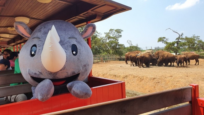 六福村奈洛比號蒸汽火車歡慶15週年，活動期間搭乘有機會遇到神祕嘉賓現身共乘。（六福村提供）