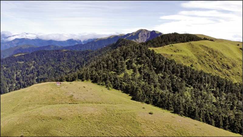 合歡西峰是個平緩的坡地。