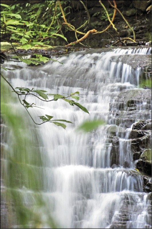 順著步道上行，山溪流泉相伴，走累時可駐足賞景。