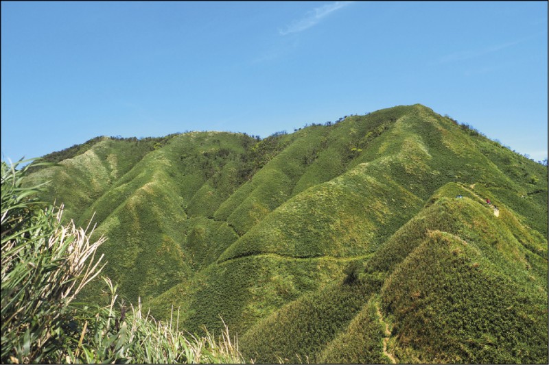 令小林賢伍讚嘆不已的「抹茶山」，實名為三角崙山，是雪山山脈第一座小百岳。
