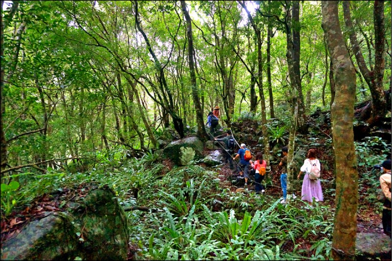 進入「森林溪祕境」，沿途欣賞祕境中的美景。